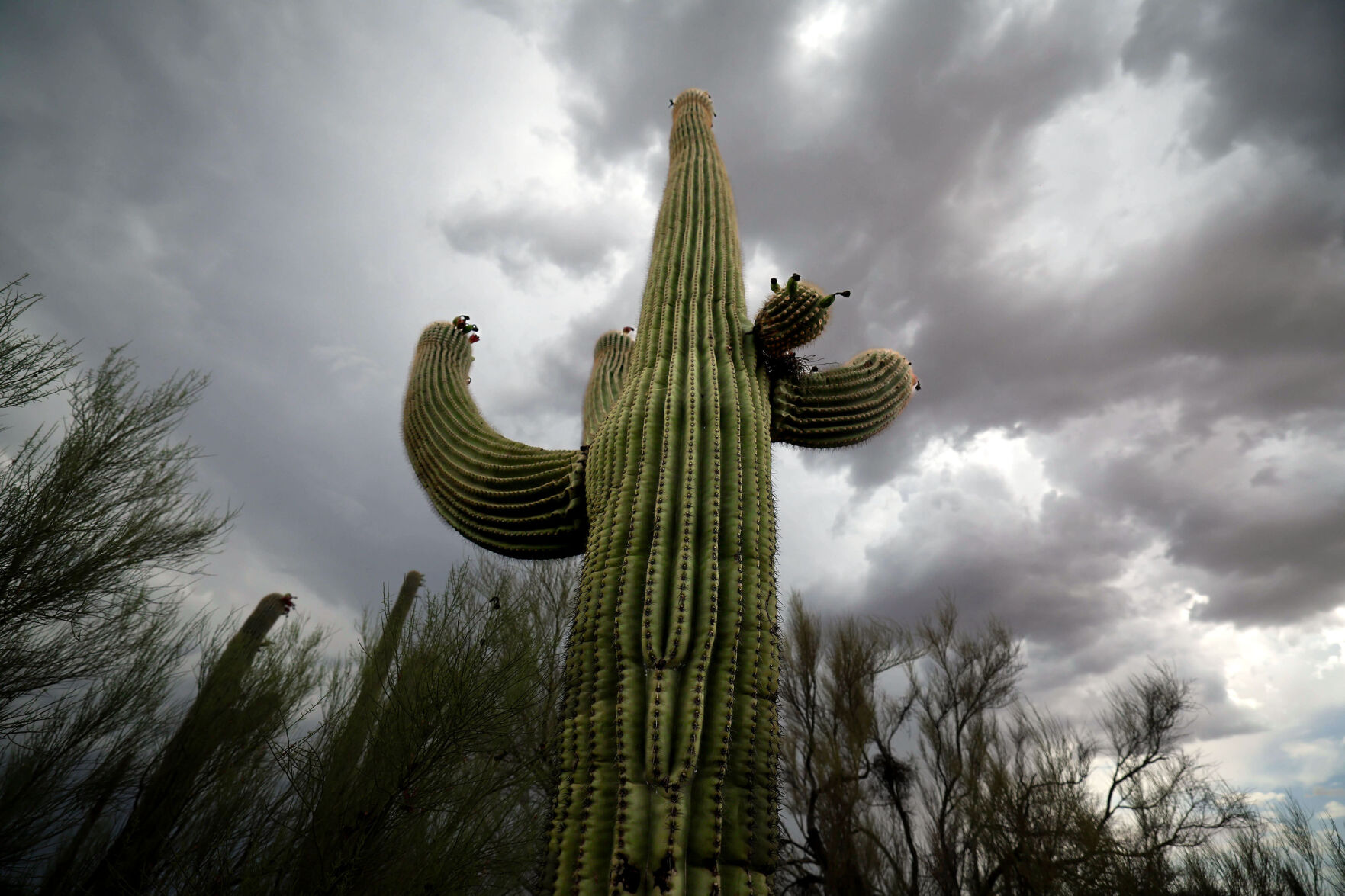 Monsoon, 2025